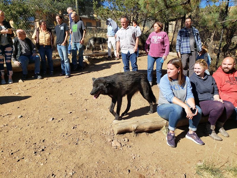Volunteering: The Deeper Way To Experience The Sanctuary