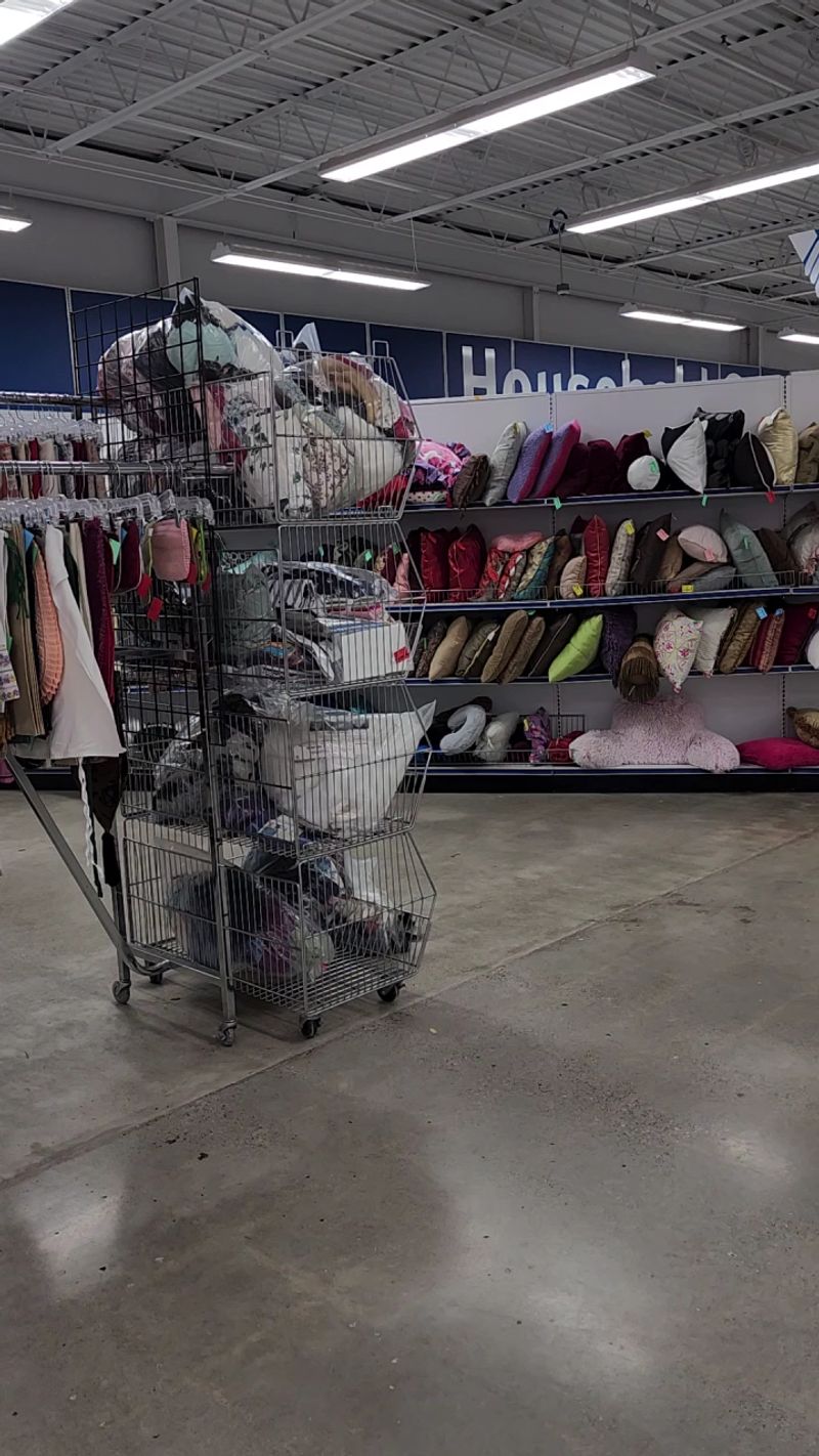 Volunteers Of America Thrift Store, Lansing West