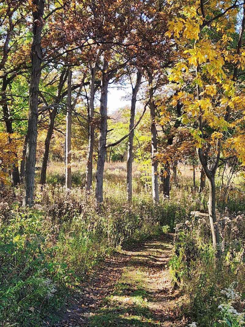 The Autumn On The Prairie Festival