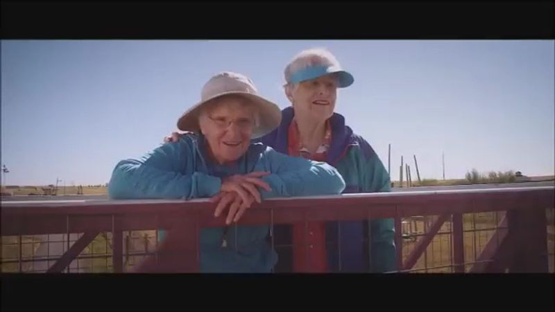 Volunteers: The Heartbeat of the Entire Operation