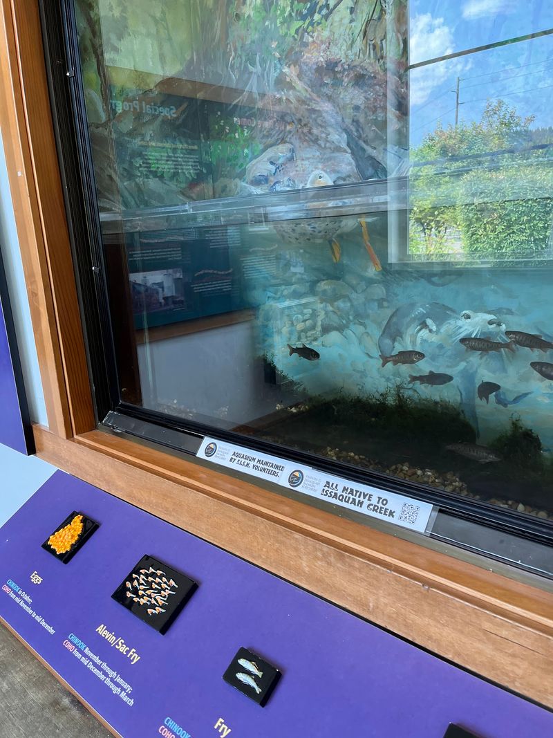Volunteers Who Know Their Salmon