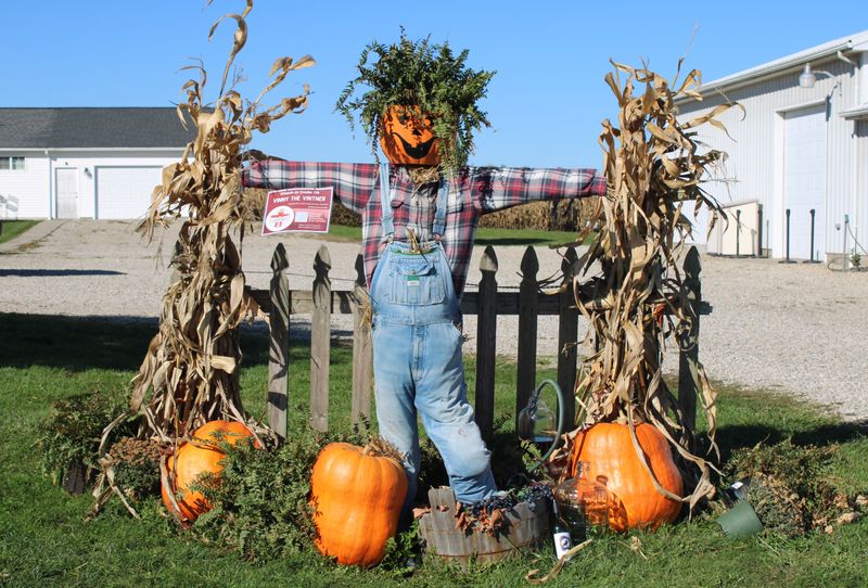 Vote For A Scarecrow Before Two