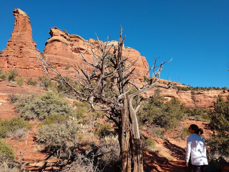 Boynton Canyon Vortex: Where Energy Meets The Earth