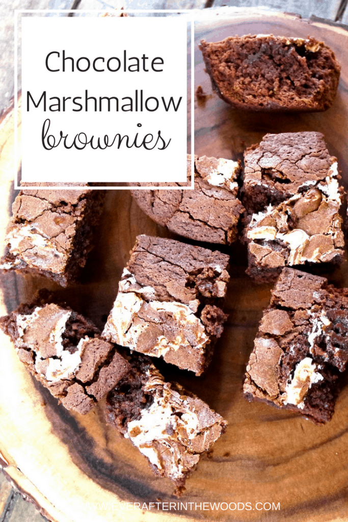 Marshmallow Chocolate Brownies Ever After in the Woods