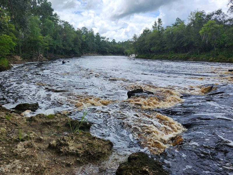 Big Shoals State Park, Live Oak