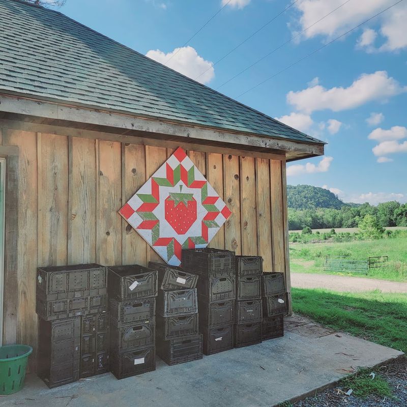 Wade Lucas Farms, Shirley