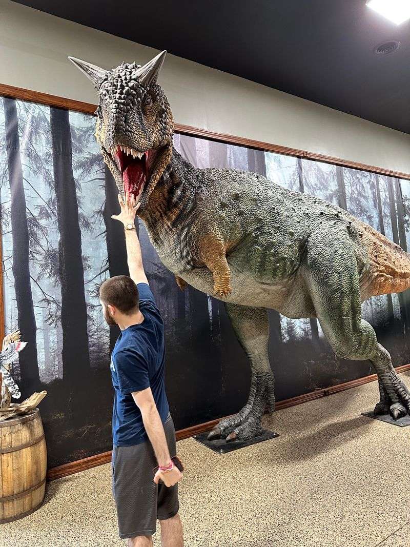 Prehistoric Museum Brings Dinosaurs To Life For Young Paleontologists