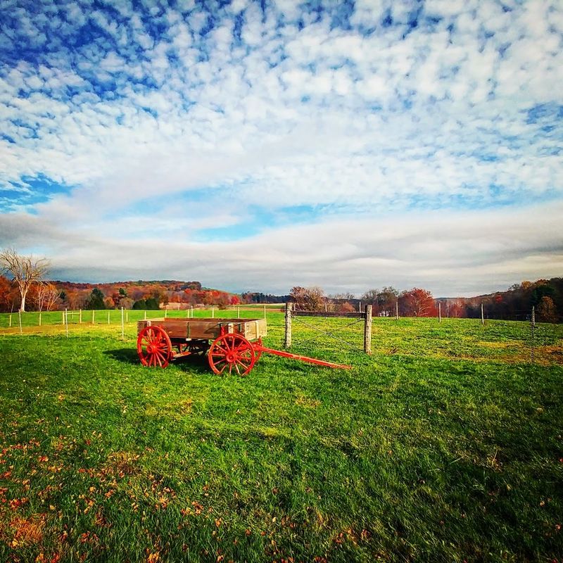 Wagon Rides and Seasonal Events Wagon Rides and Seasonal Events