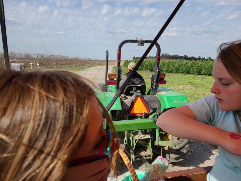 Wagon and Tractor Rides Out to the Rows Wagon and Tractor Rides Out to the Rows