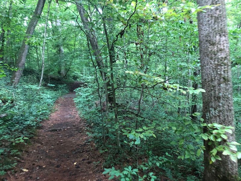 Wahkeena Nature Preserve Boardwalk Trail, Sugar Grove, Ohio