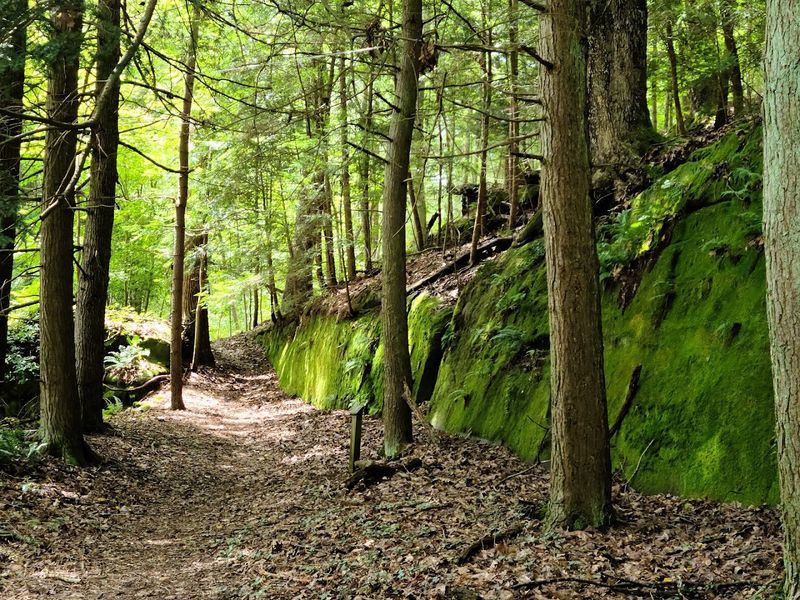 Wahkeena Nature Preserve, Sugar Grove, Ohio