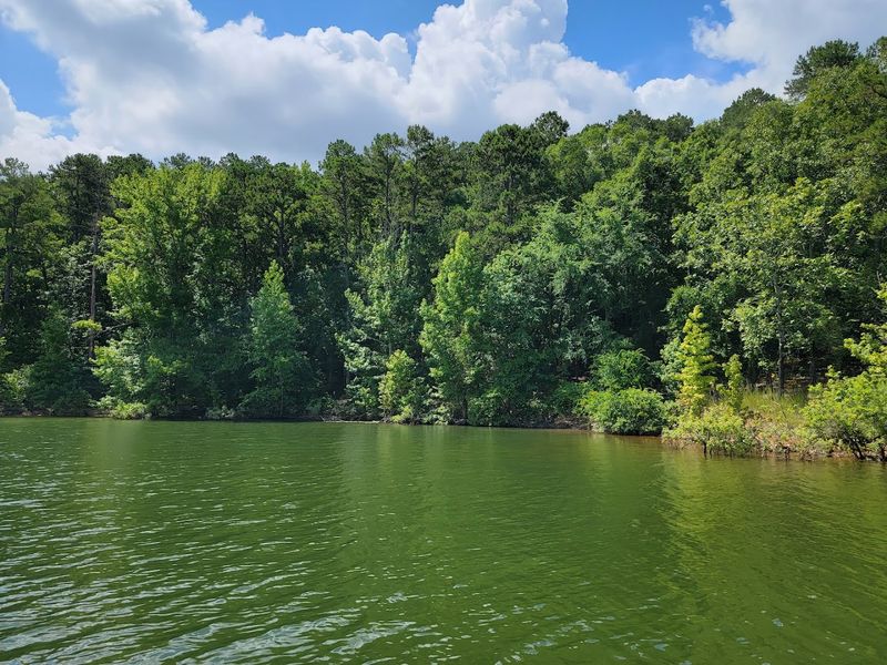 Private Decks Perfect For Relaxing And Fishing