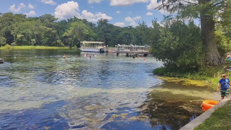 Wakulla Springs State Park, Wakulla Springs
