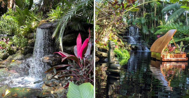 Walk Among 6,000 Orchids At This World-Famous Botanical Paradise In Sarasota, Florida