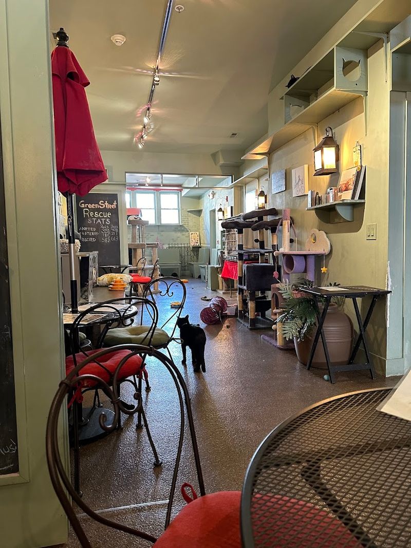 Free Drinks Come With Every Visit