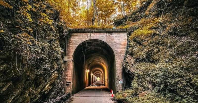 Walk Into The Shadows Of A Georgia Tunnel With An Eerie, Timeless Vibe