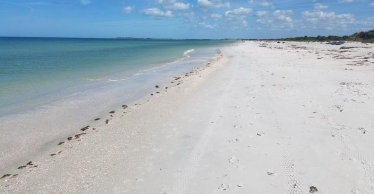 Walk On Sugar-Soft Sand And Kayak Through Mangroves At This Florida Gulf Coast Island Park