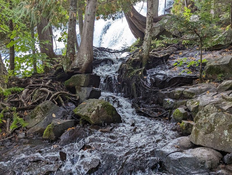 Walk The Loop Only If You Like Rougher Footing