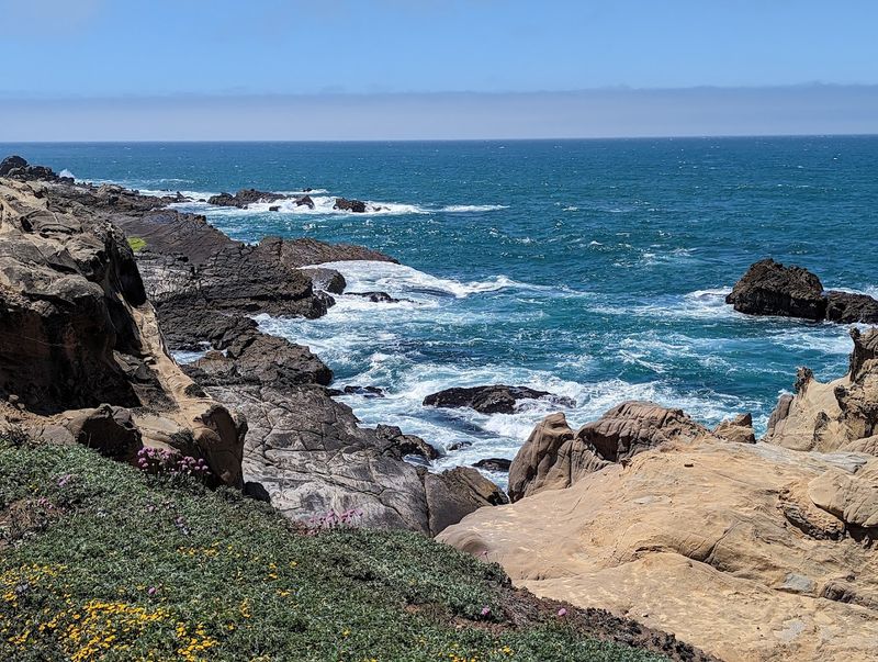 Walk The Tafoni-Carved Coastline, Salt Point State Park, Jenner Walk The Tafoni-Carved Coastline, Salt Point State Park, Jenner