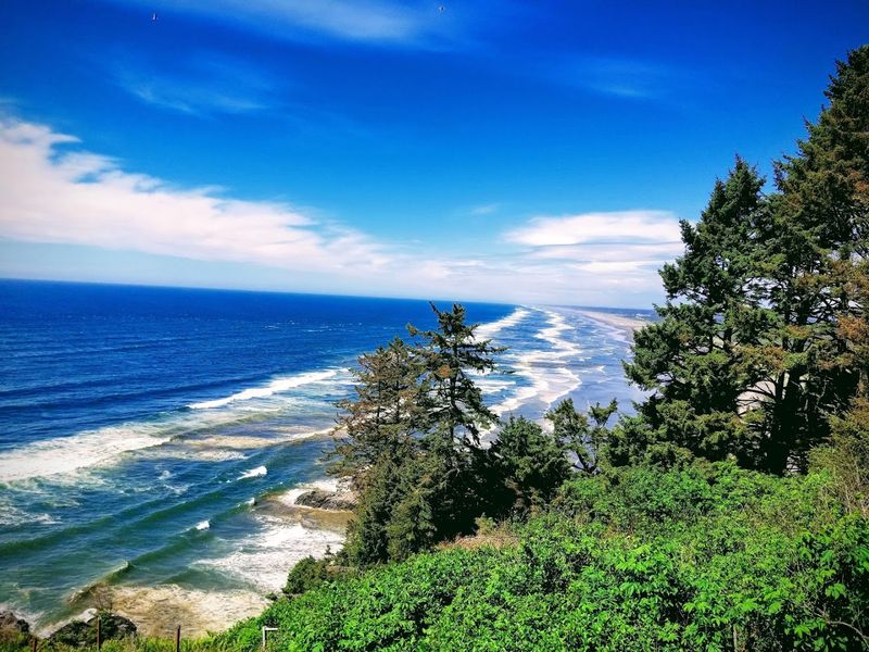 Walk The Trails And Beaches Of Cape Disappointment State Park