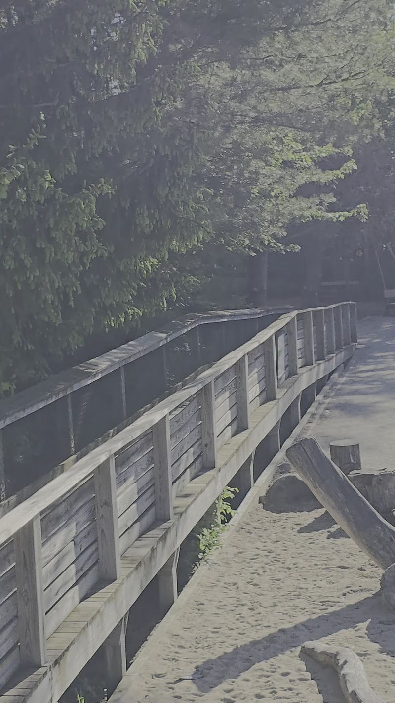 Walk The Wetlands At Outdoor Discovery Center