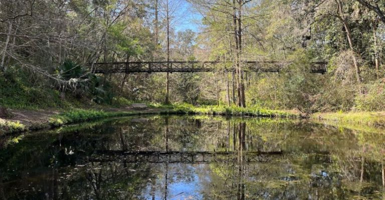 Walk Through A Fairytale At Florida’s Ravine Gardens In Palatka