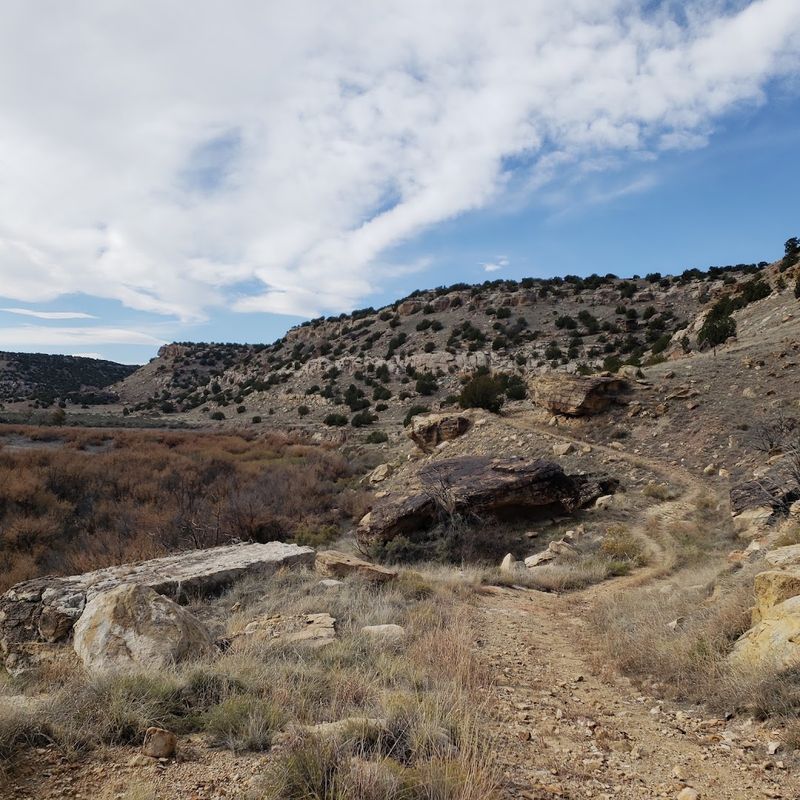 Walk Through An Active Dinosaur Quarry At Rabbit Valley