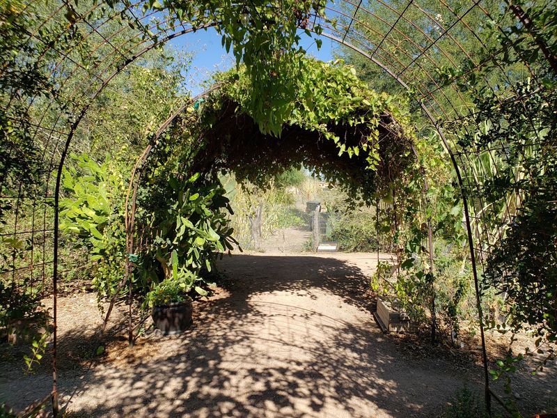 Walk Through Four Millennia One Garden Plot At A Time