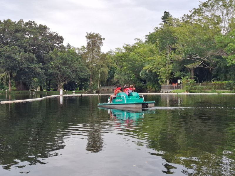 Splash Time: Safari Water Play