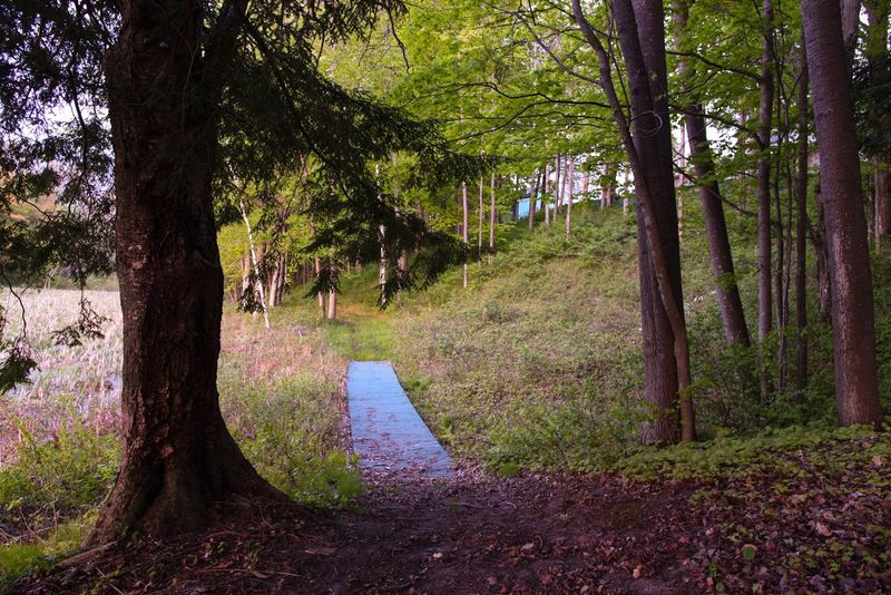 Walk Victory Park While You Are Here Walk Victory Park While You Are Here