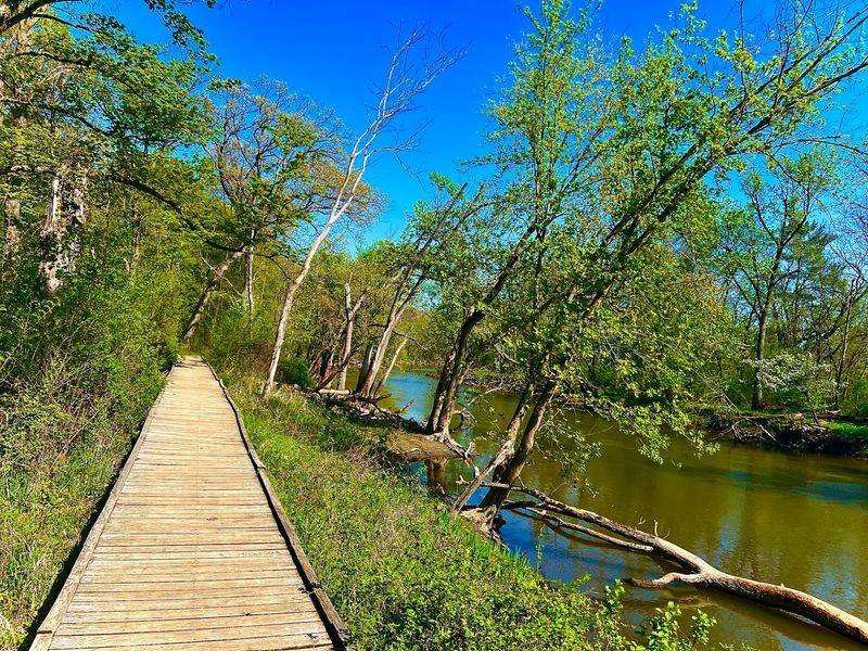 Walking Alongside the Des Plaines River