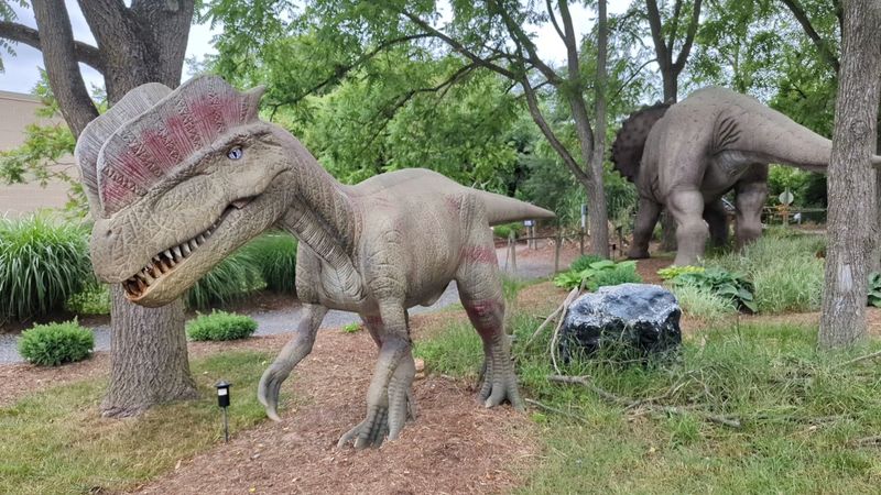 Walking Among Life-Sized Animatronic Dinosaurs Walking Among Life-Sized Animatronic Dinosaurs