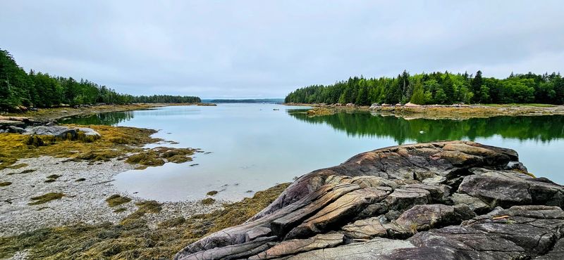 Walking The Birch Point Trail