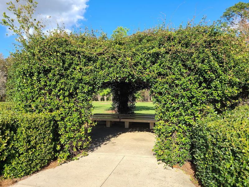 Accessibility For Everyone