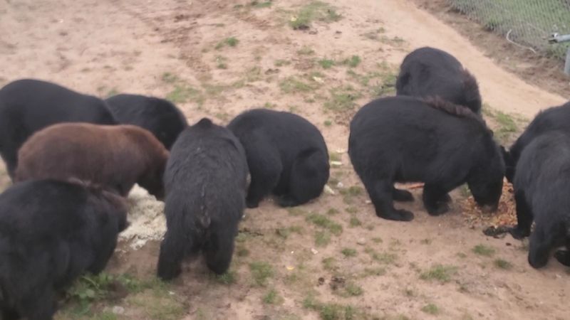 Meeting The People Who Keep Rhythm