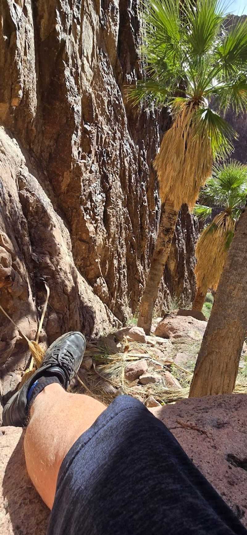 What You Will Actually See At The Top