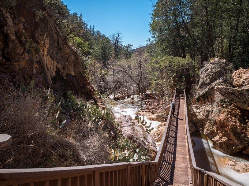 Walking The Pine Creek Trail