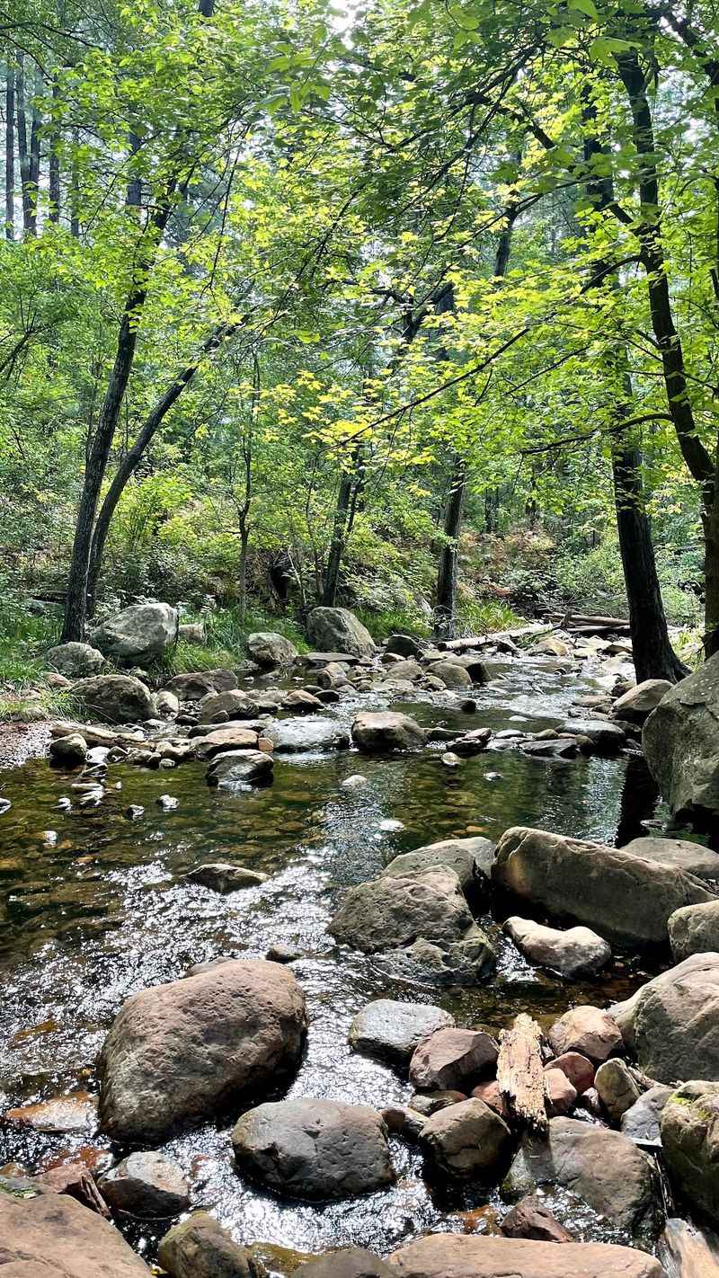 Walking The Shaded Creekside Corridor