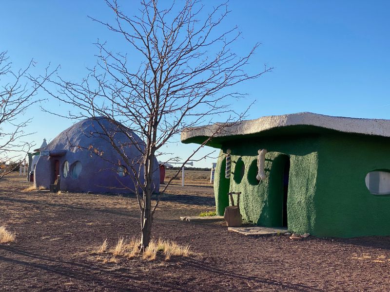 Meeting The Birds Of Prey