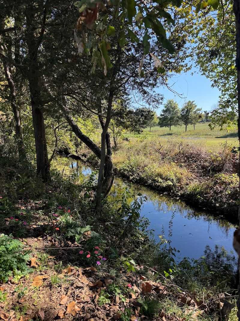 How To Catch The Most Magical Moments