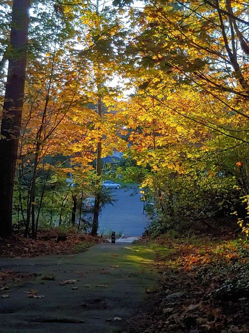 Walking Trail With Exercise Stops