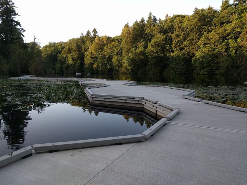 Walking Trails And The Lake Fenwick Boardwalk