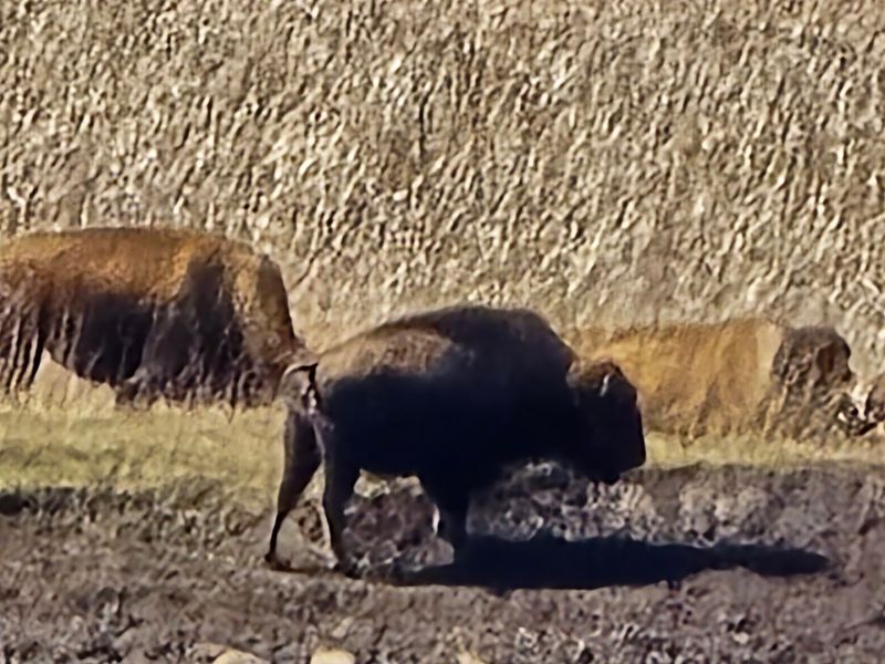 A Living Classroom For All Ages