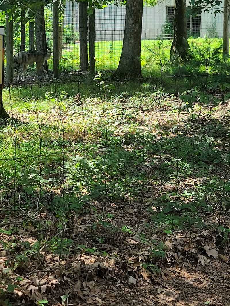 Walking Trails That Feel Nothing Like A Zoo