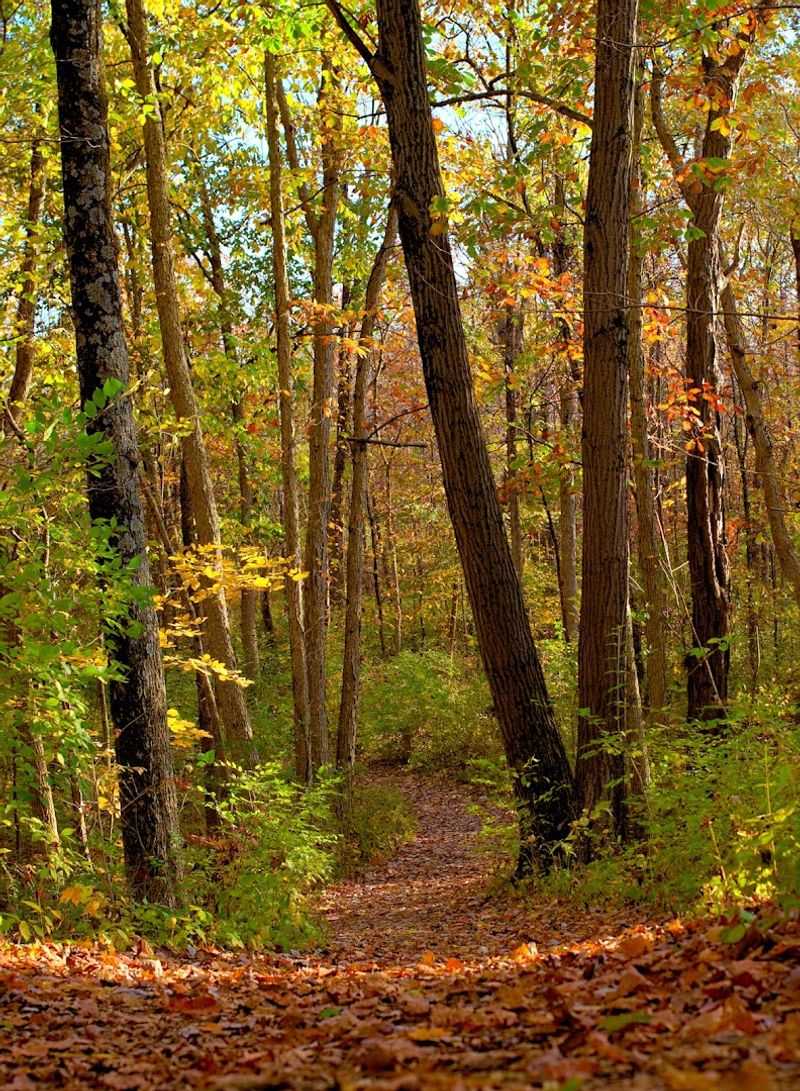 Walking Trails for Every Fitness Level
