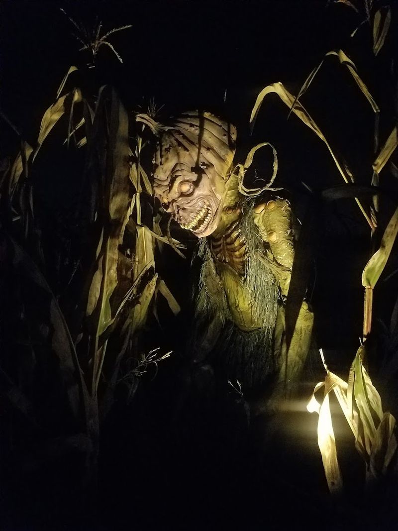 The Forbidden Cornfield