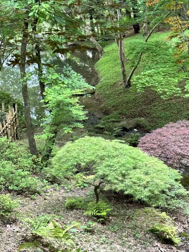 Outdoor Seating Immersed In Natural Beauty