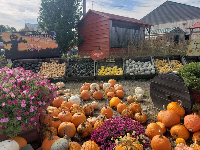 Wallingford's Fruit House, Auburn, Maine