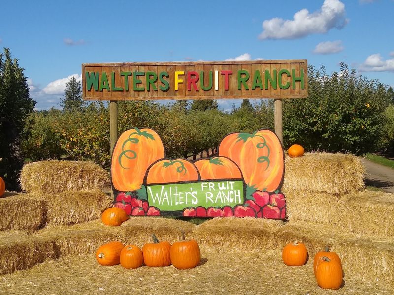 Walters' Fruit Ranch, Mead, WA