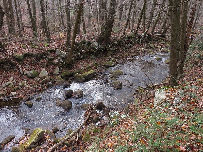 Little Stony Creek Has A Sound You Will Not Forget